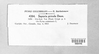 Mycosphaerella pyri image